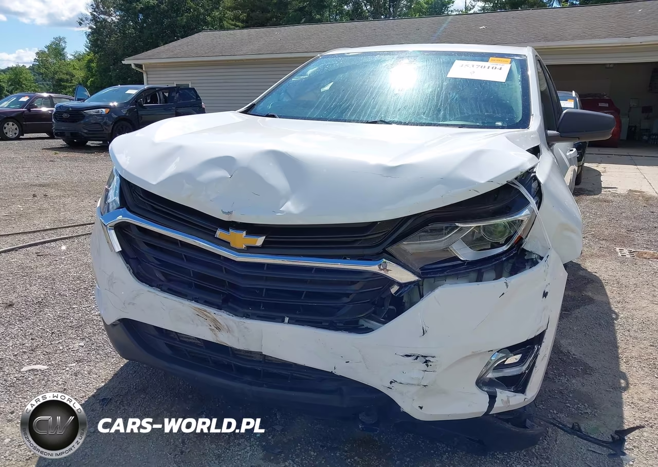 2020 Chevrolet Equinox Fwd Ls VIN:3GNAXHEV6LS736755 - 6