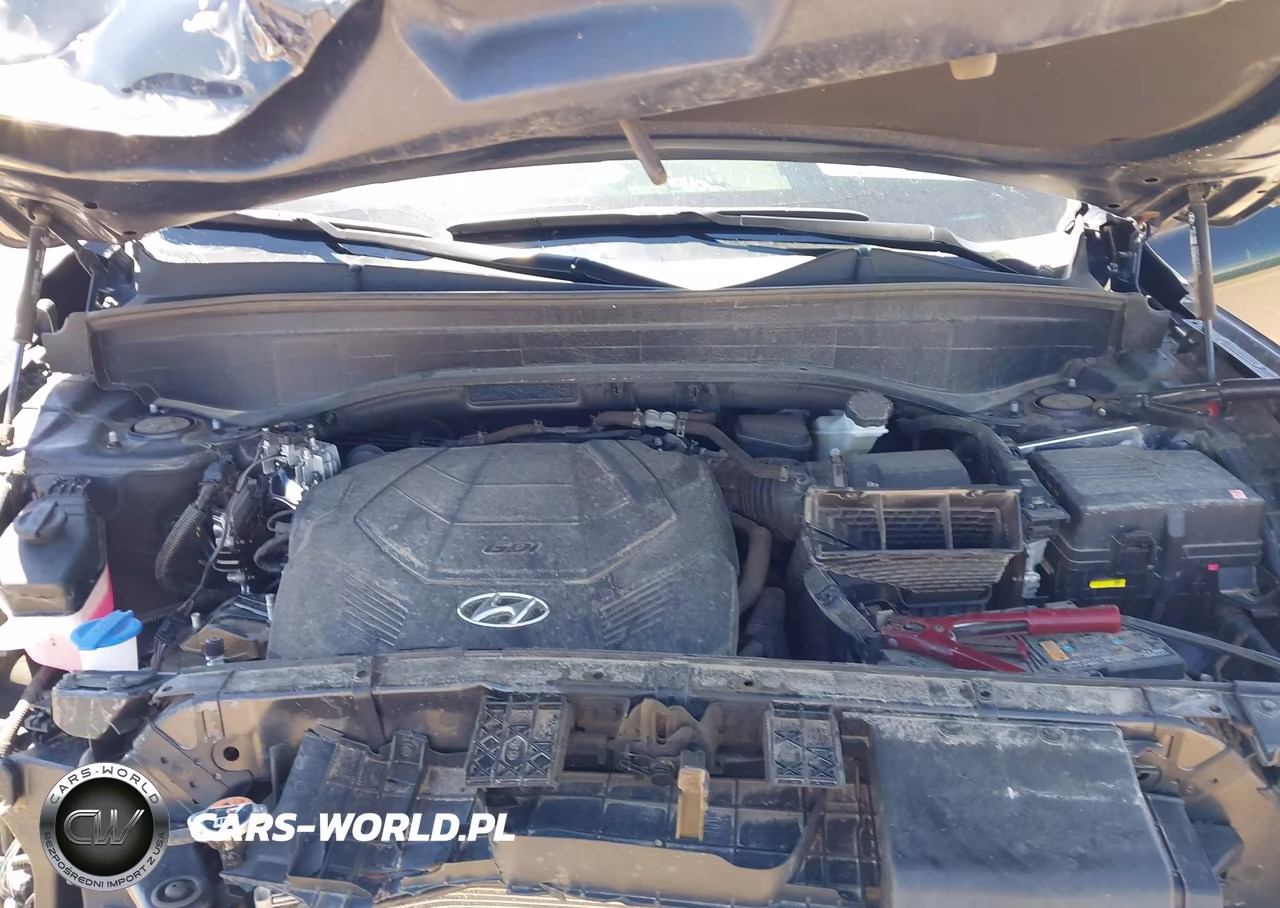 2024 Hyundai Palisade Calligraphy VIN:KM8R7DGEXRU787715 - 10