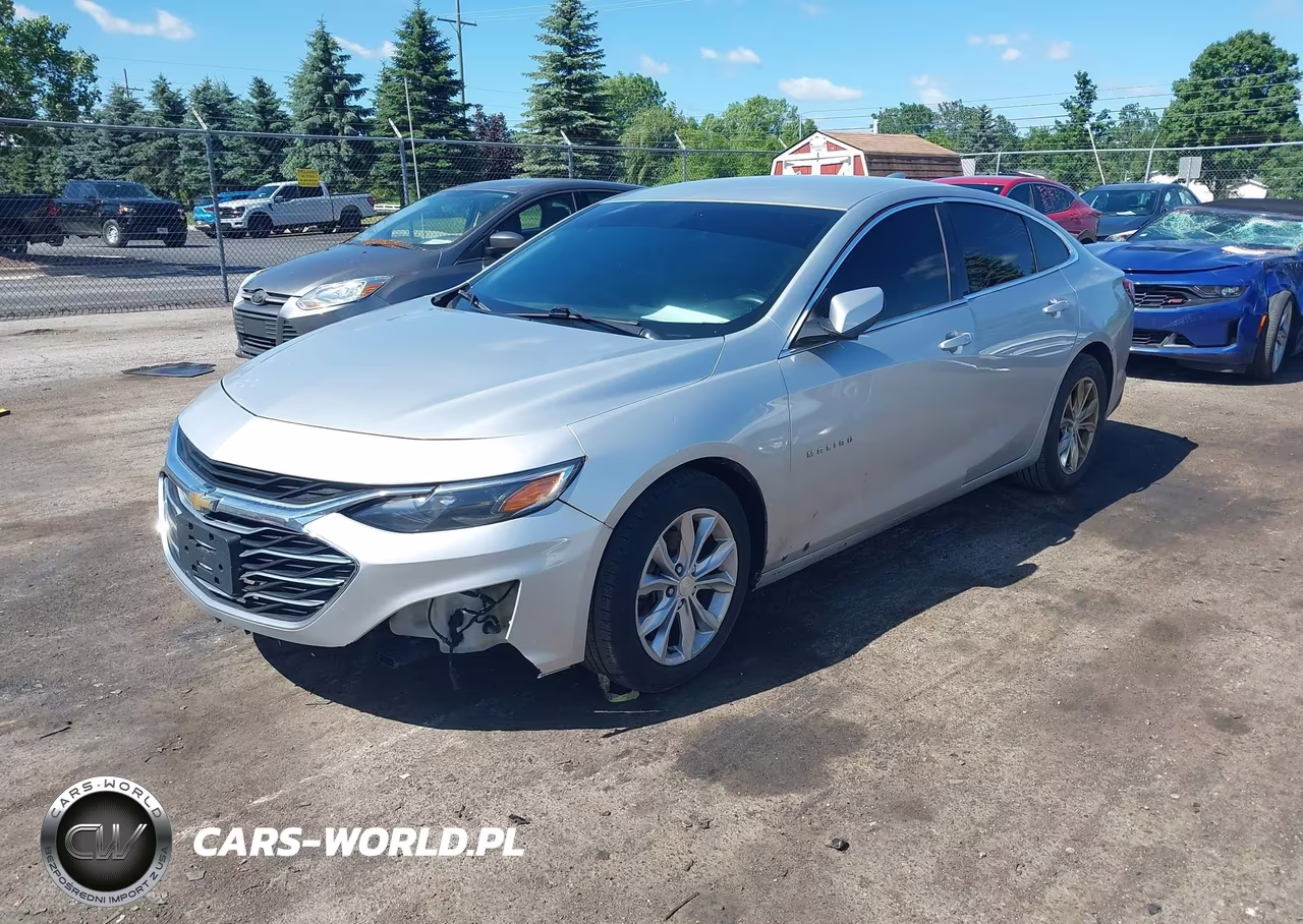 2019 Chevrolet Malibu Lt VIN:1G1ZD5ST1KF184700 - 2