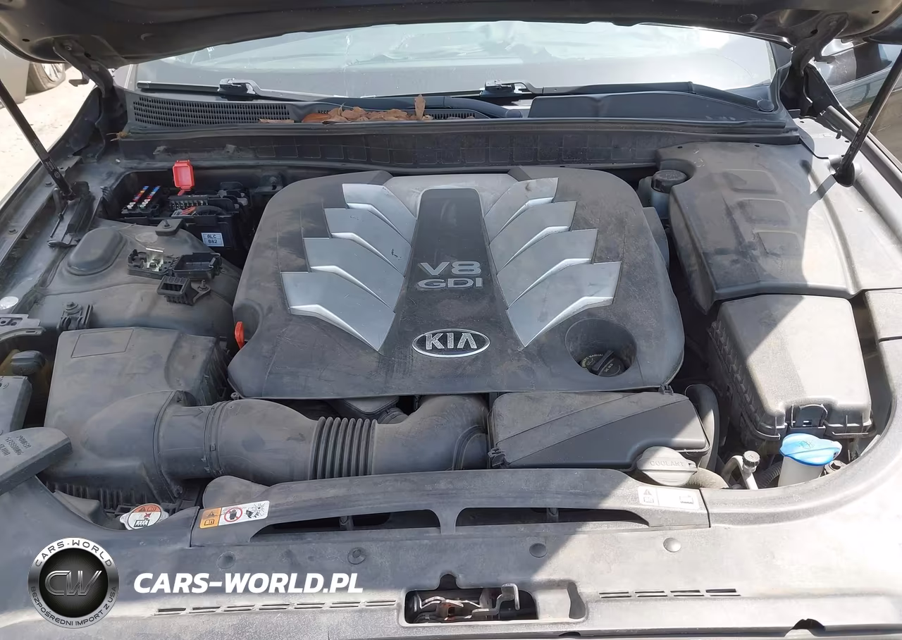 2015 Kia K900 Luxury VIN:KNALW4D43F6023064 - 10