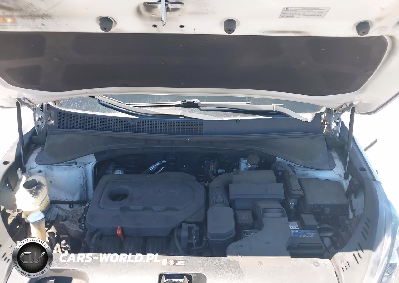 2019 Kia Sorento 2.4L Lx VIN:5XYPG4A31KG434242 - 10