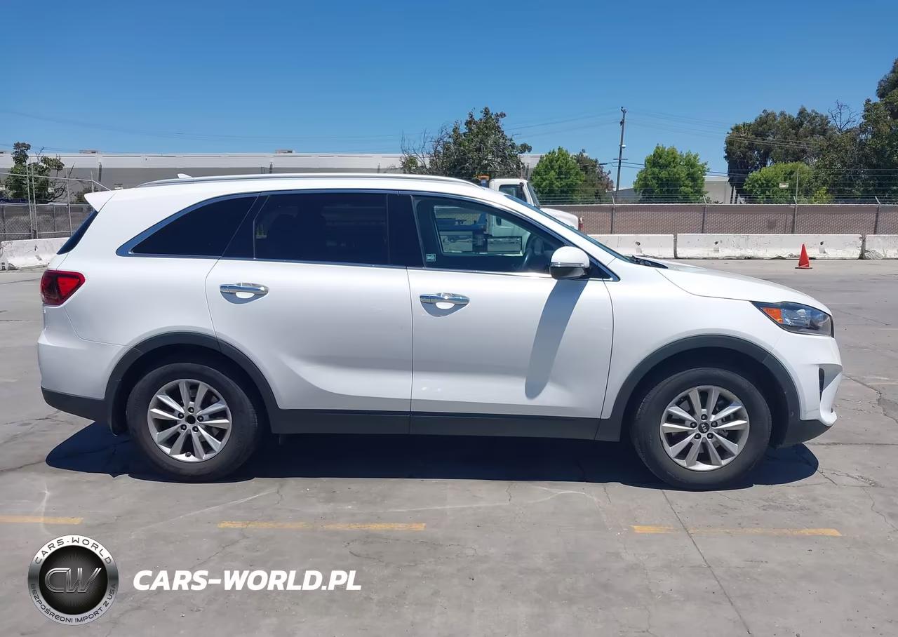 2019 Kia Sorento 2.4L Lx VIN:5XYPG4A31KG434242 - 13