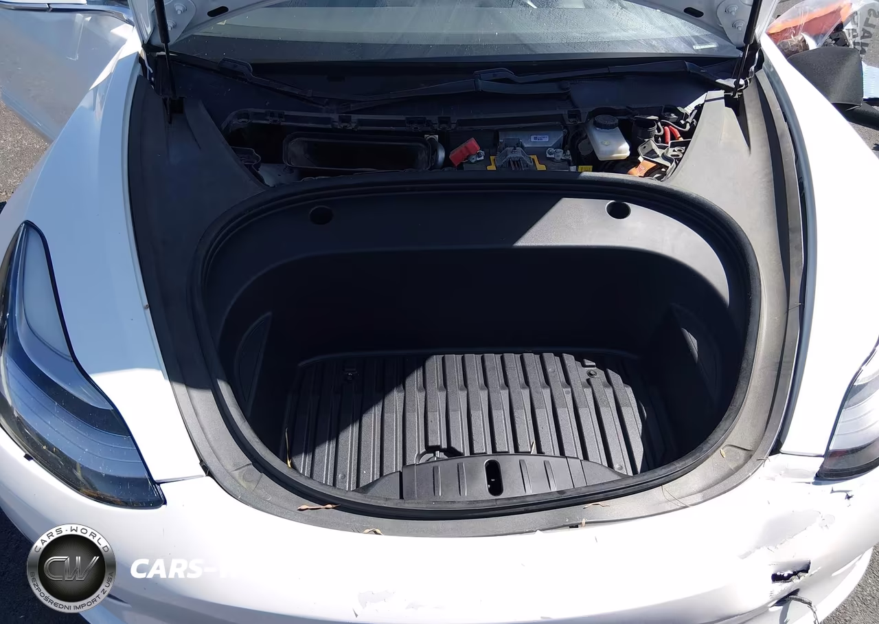 2020 Tesla Model 3 VIN:5YJ3E1EA0LF804407 - 10