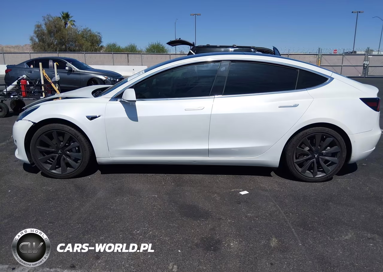 2020 Tesla Model 3 VIN:5YJ3E1EA0LF804407 - 14