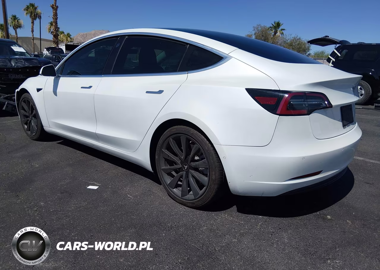 2020 Tesla Model 3 VIN:5YJ3E1EA0LF804407 - 3