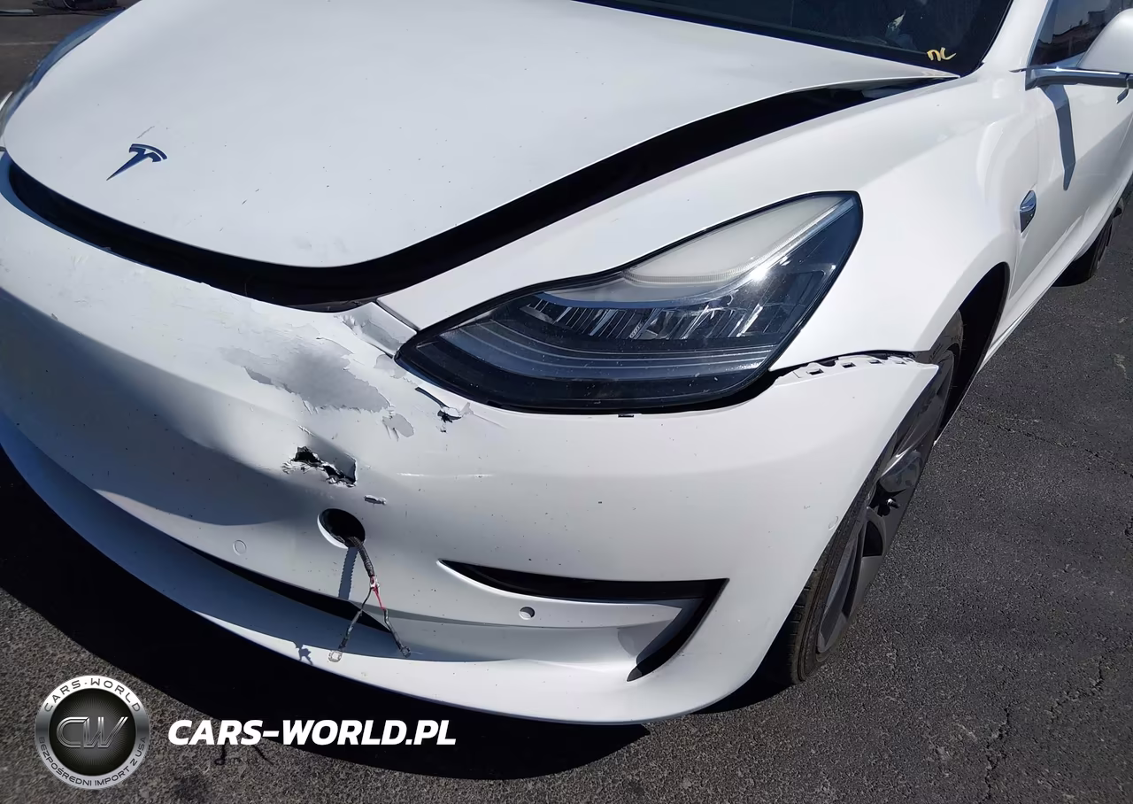 2020 Tesla Model 3 VIN:5YJ3E1EA0LF804407 - 6