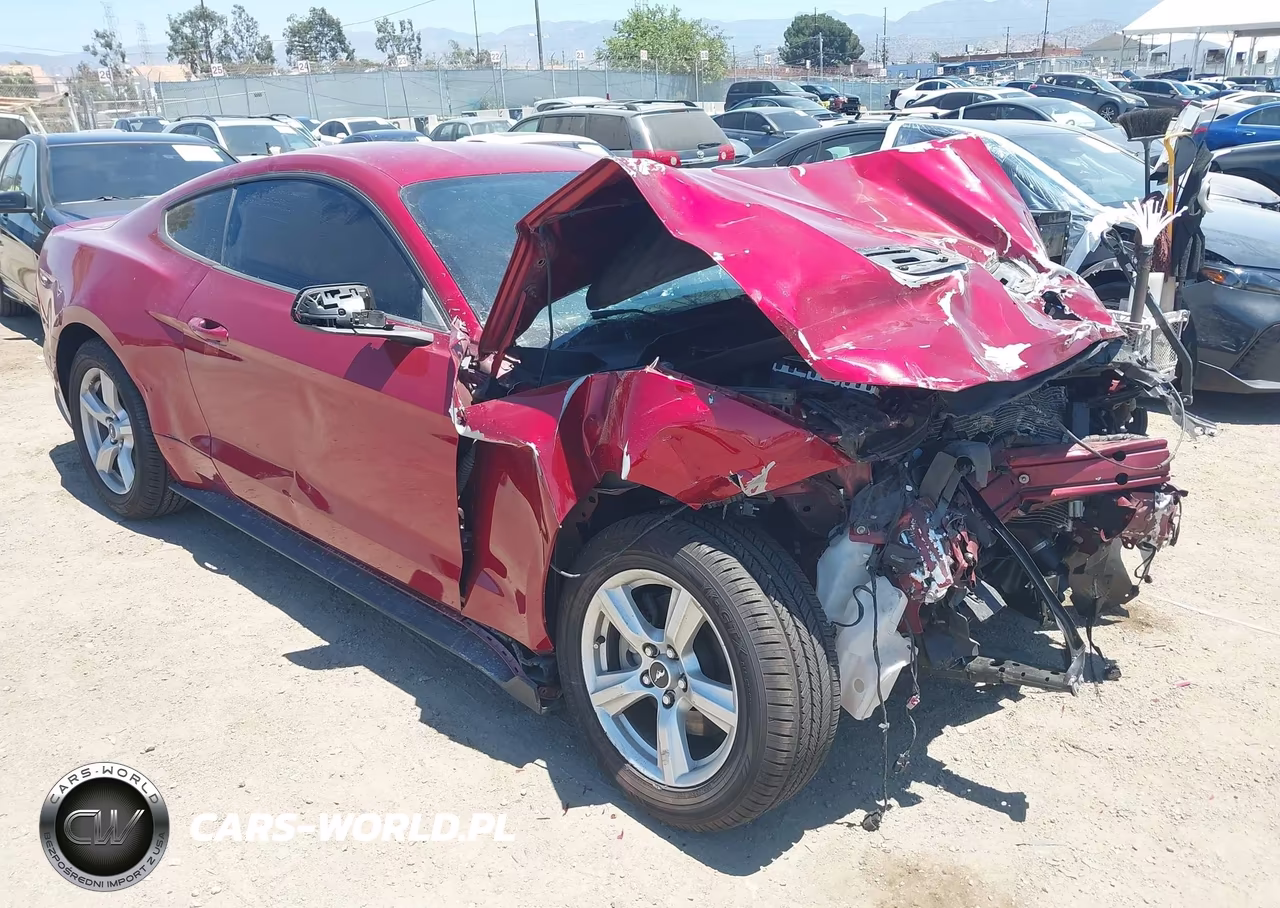 2019 Ford Mustang Ecoboost