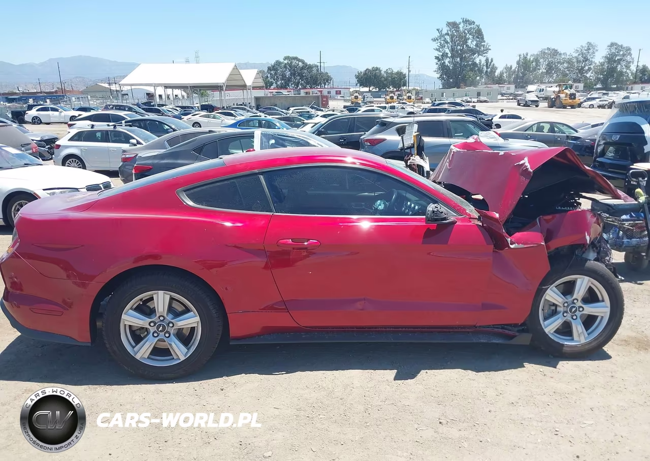2019 Ford Mustang Ecoboost VIN:1FA6P8TH5K5193327 - 12