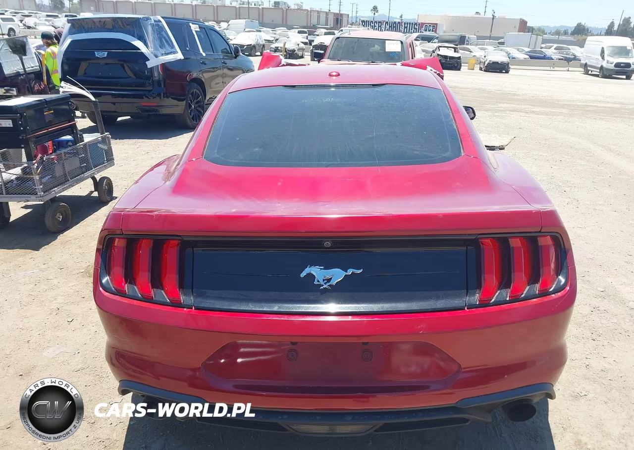 2019 Ford Mustang Ecoboost VIN:1FA6P8TH5K5193327 - 15