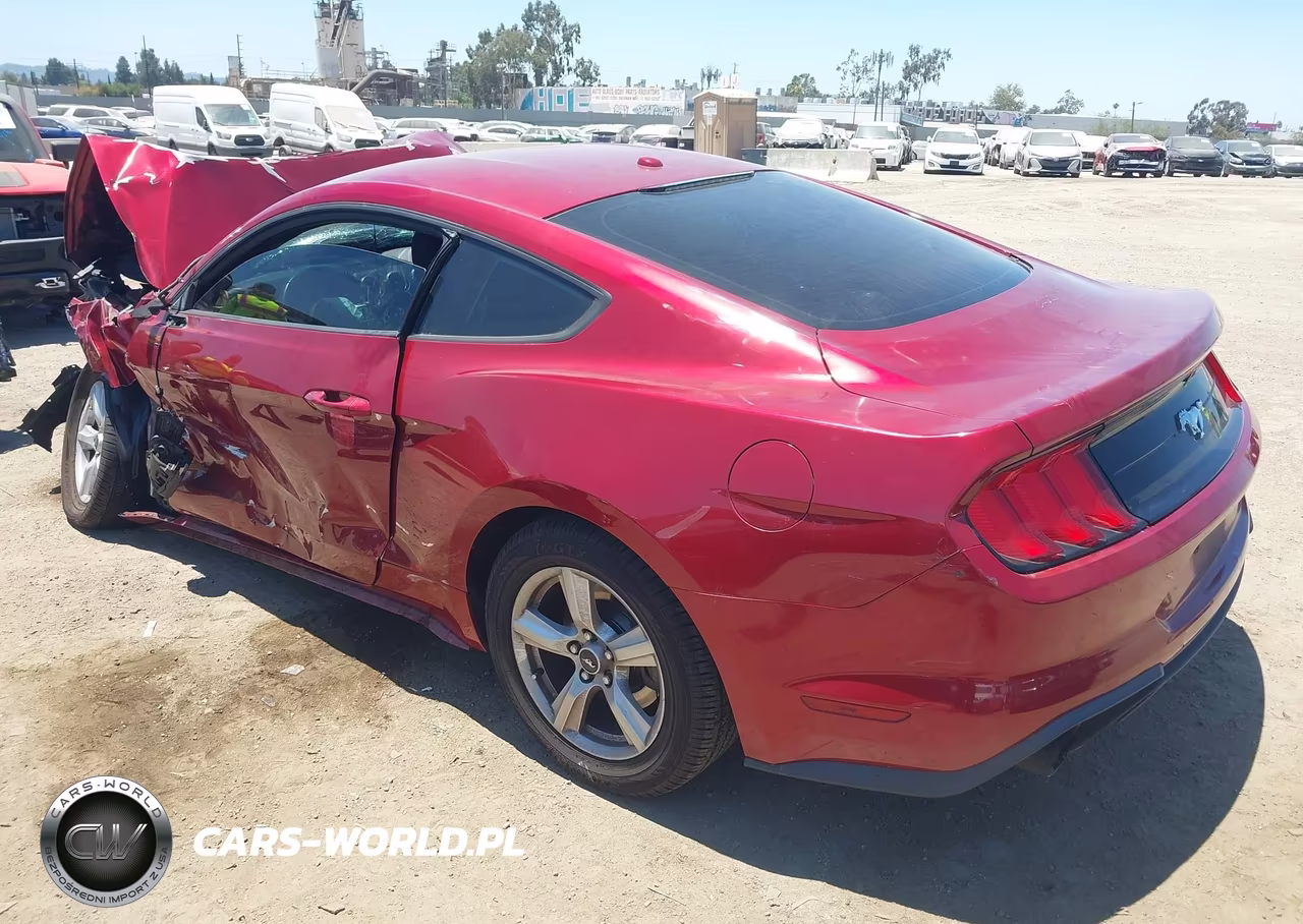 2019 Ford Mustang Ecoboost VIN:1FA6P8TH5K5193327 - 3