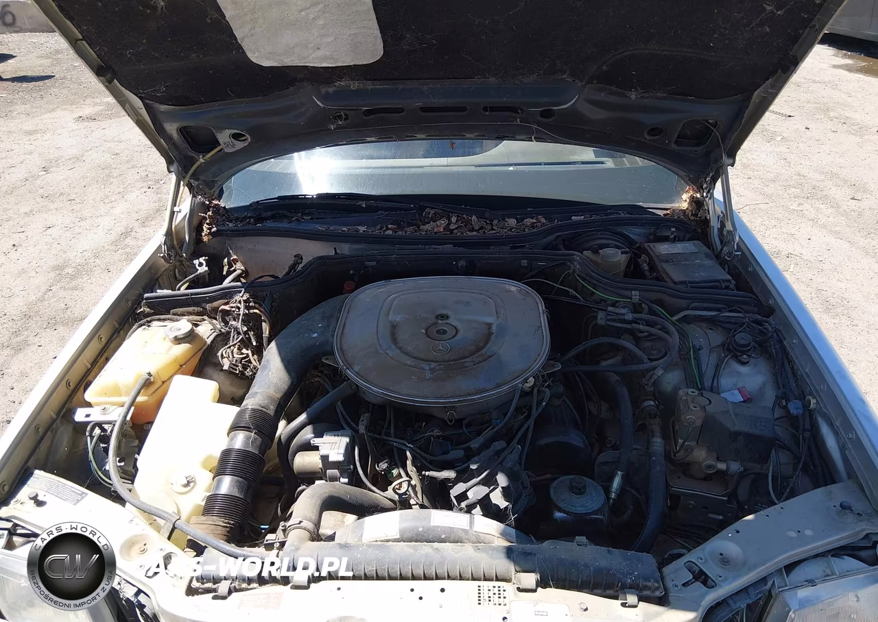 1987 Mercedes-Benz 420 Sel VIN:WDBCA35D8HA284649 - 10