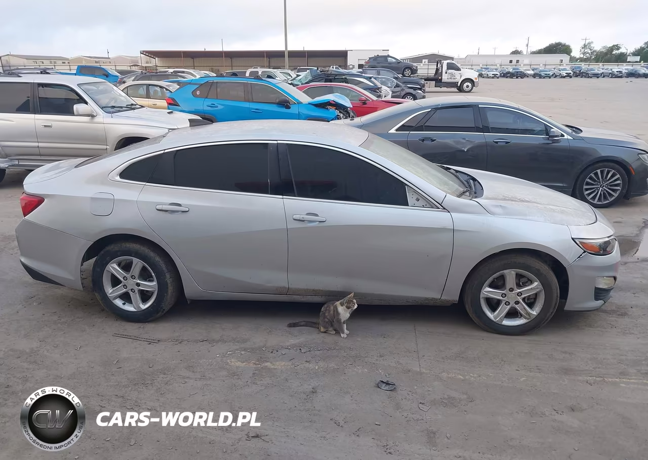 2020 Chevrolet Malibu Fwd Ls VIN:1G1ZB5ST2LF134508 - 13
