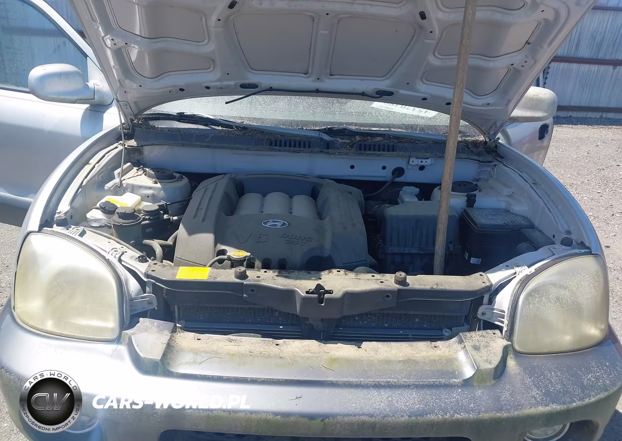 2002 Hyundai Santa Fe Gls-Lx VIN:KM8SC13D92U299225 - 10