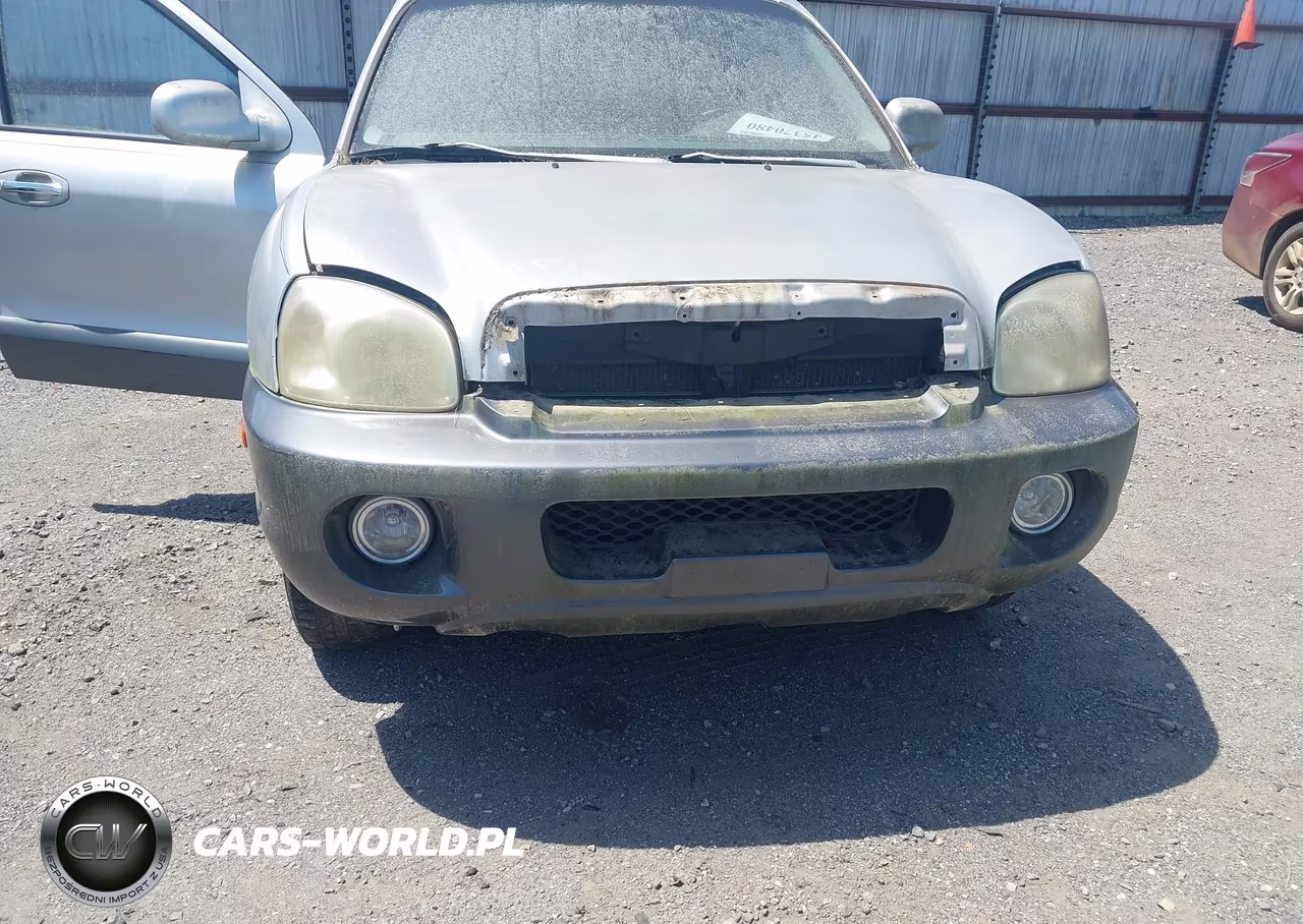 2002 Hyundai Santa Fe Gls-Lx VIN:KM8SC13D92U299225 - 6