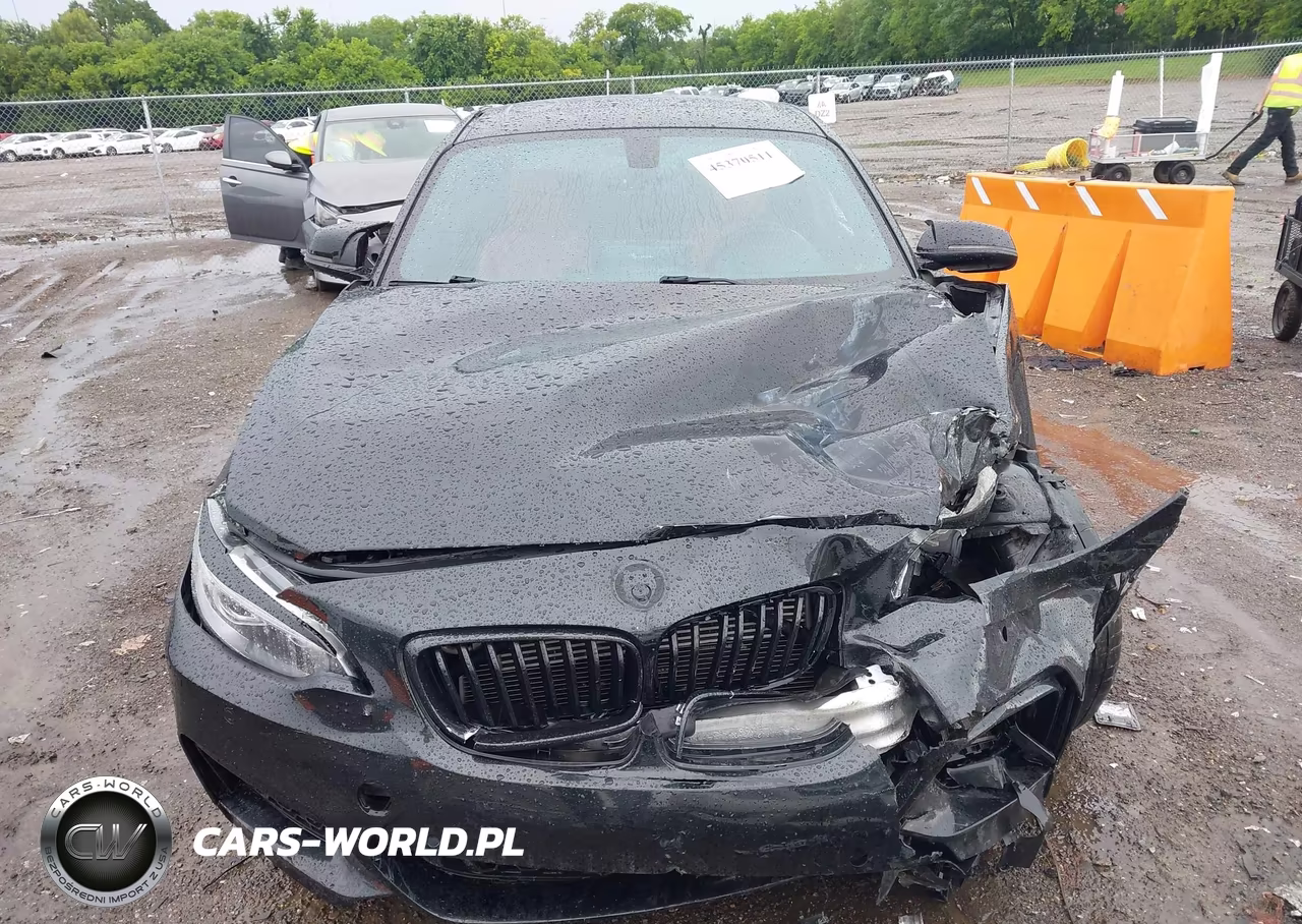 2016 BMW M235I VIN:WBA1J7C54GV359413 - 11