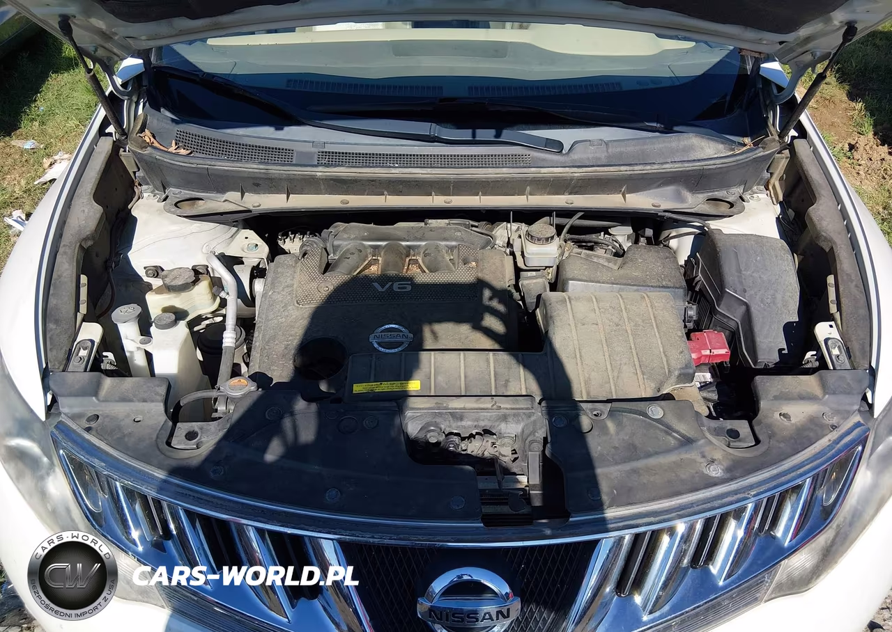 2010 Nissan Murano Sl VIN:JN8AZ1MU8AW013384 - 10
