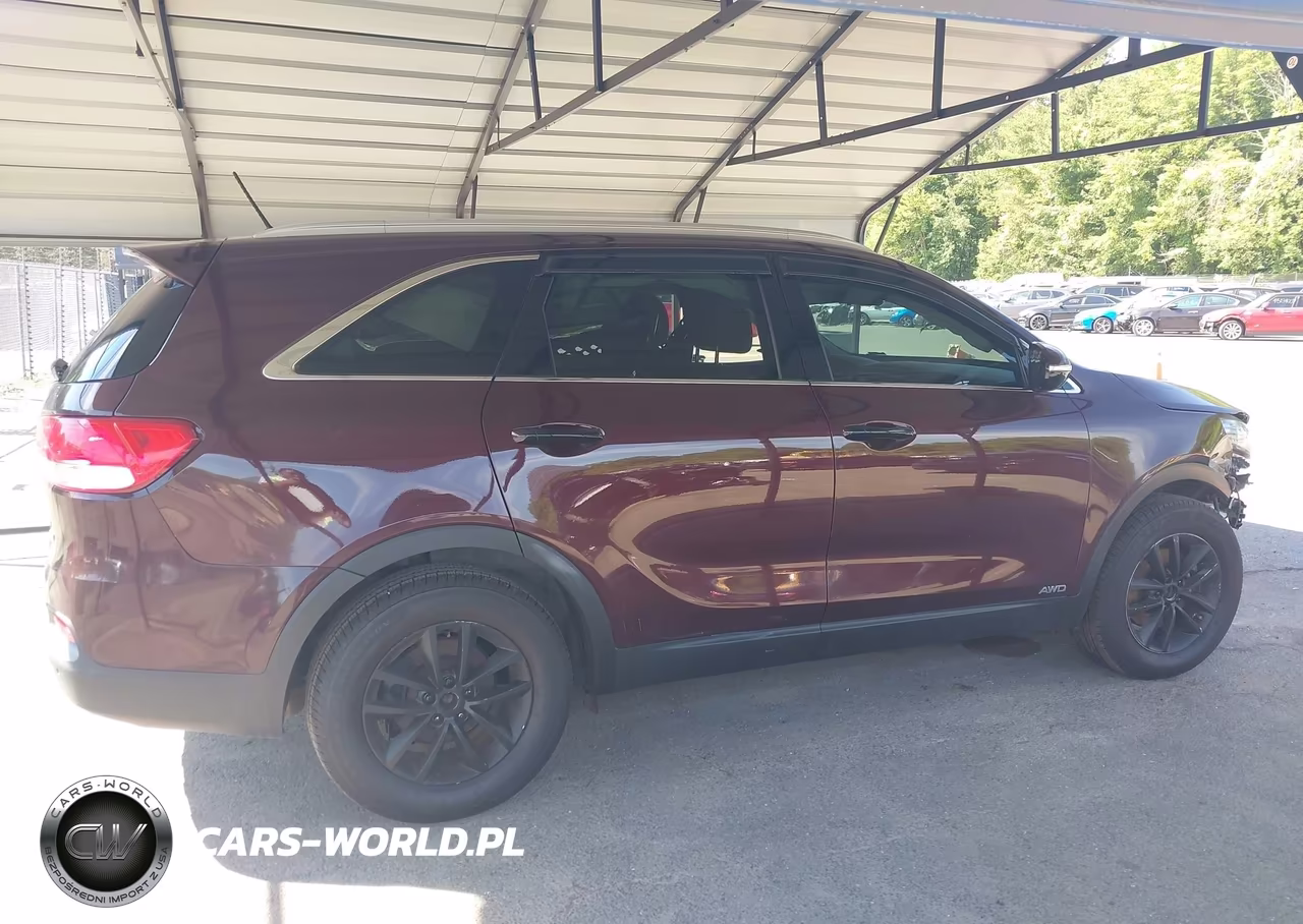 2017 Kia Sorento 2.4L Lx VIN:5XYPGDA30HG261483 - 13