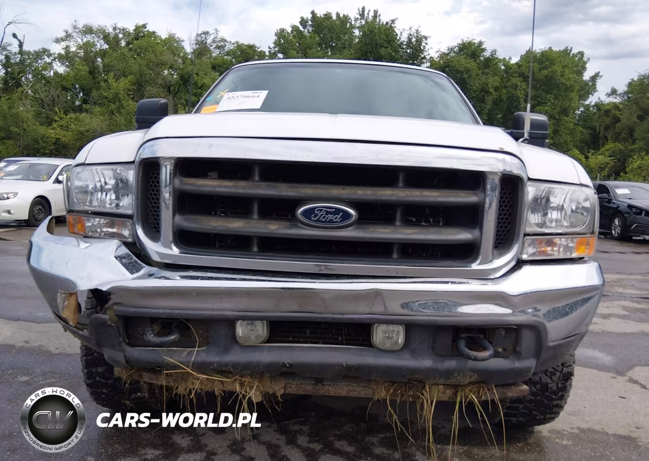 2003 Ford F-250 Lariat-Xl-Xlt VIN:1FTNX21L83EB76257 - 18