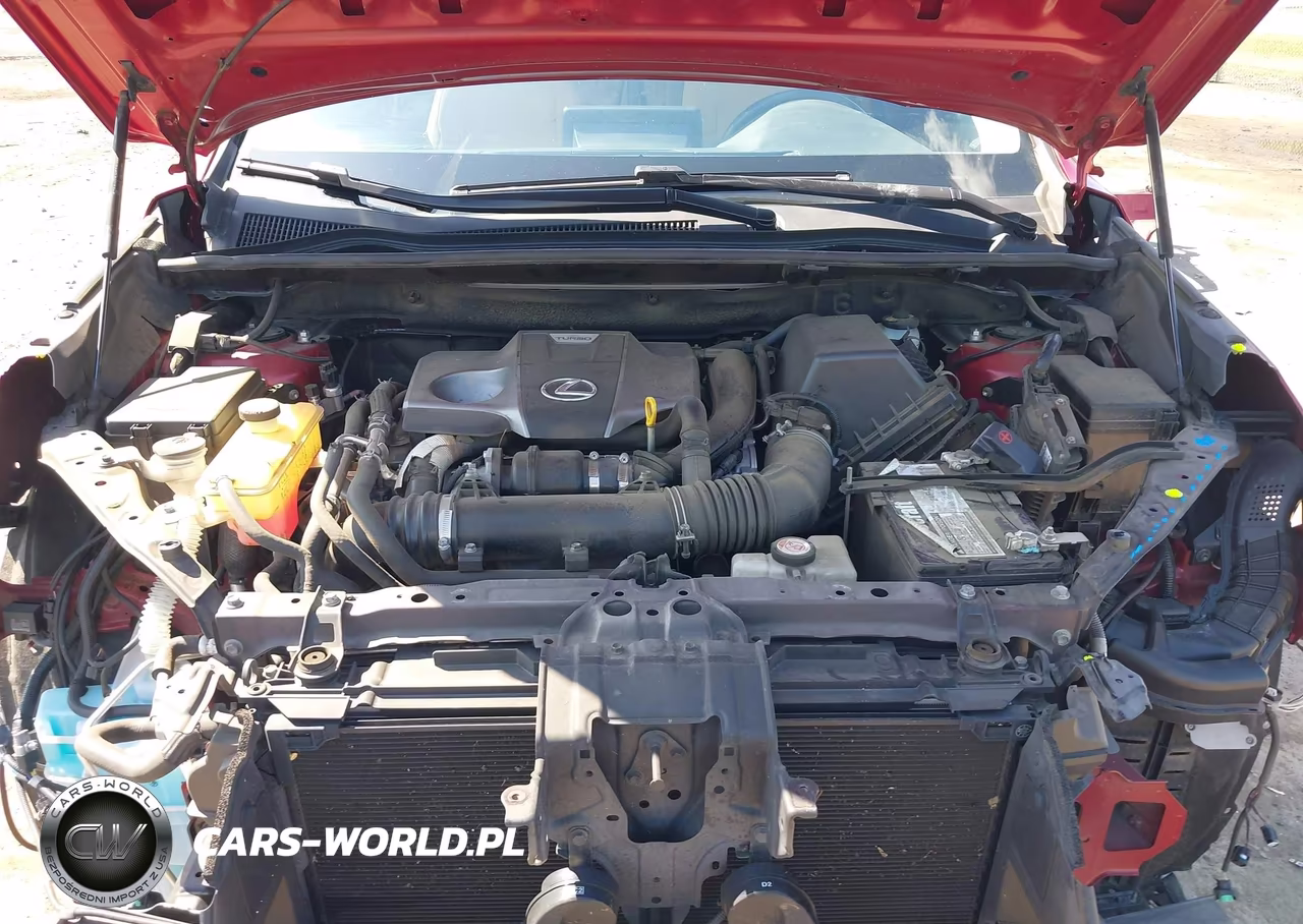 2021 Lexus Nx 300 VIN:JTJDARBZ1M5026806 - 10