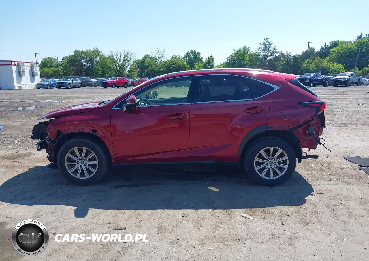 2021 Lexus Nx 300 VIN:JTJDARBZ1M5026806 - 15