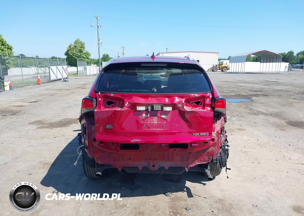 2021 Lexus Nx 300 VIN:JTJDARBZ1M5026806 - 17