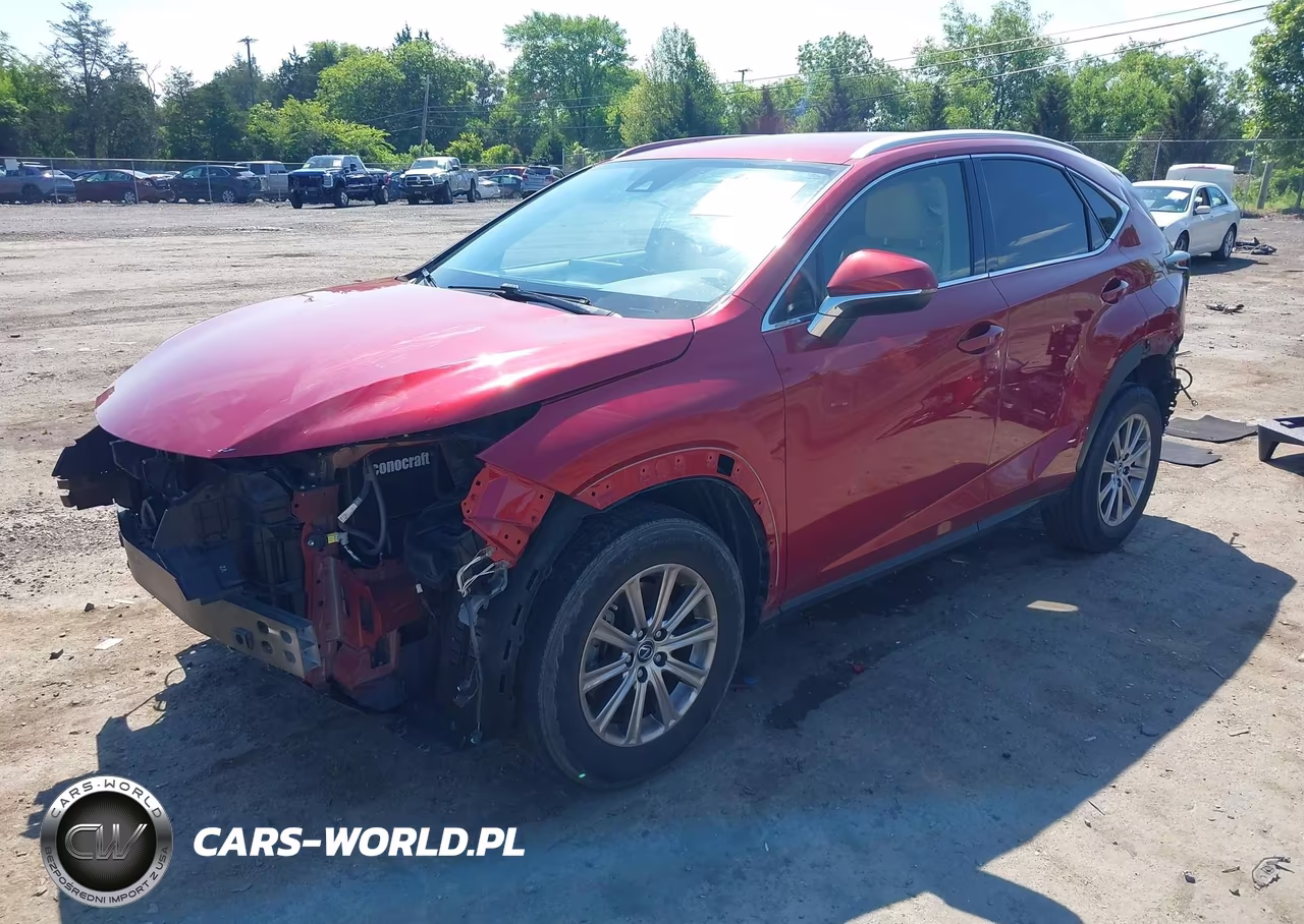 2021 Lexus Nx 300 VIN:JTJDARBZ1M5026806 - 2