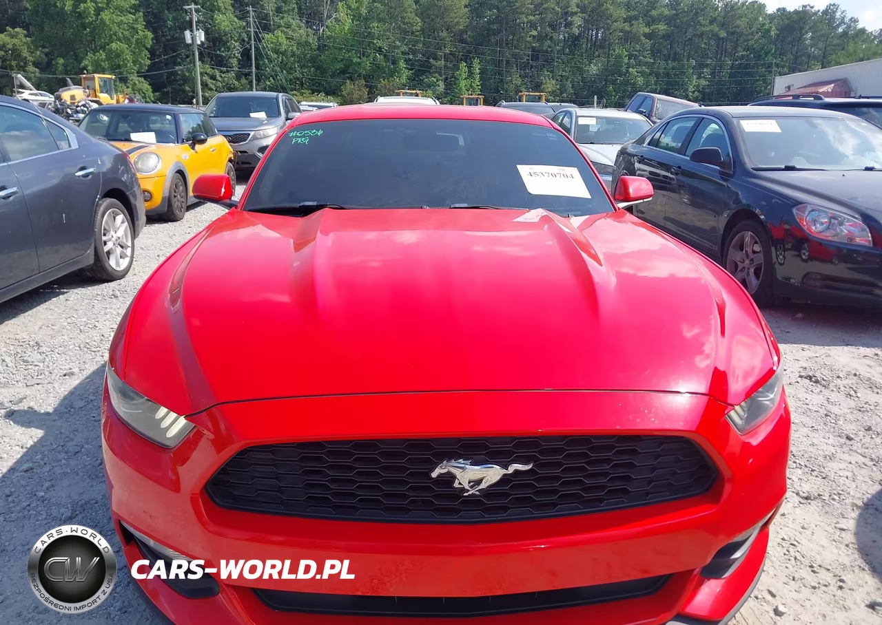 2017 Ford Mustang V6 VIN:1FA6P8AM2H5228107 - 12