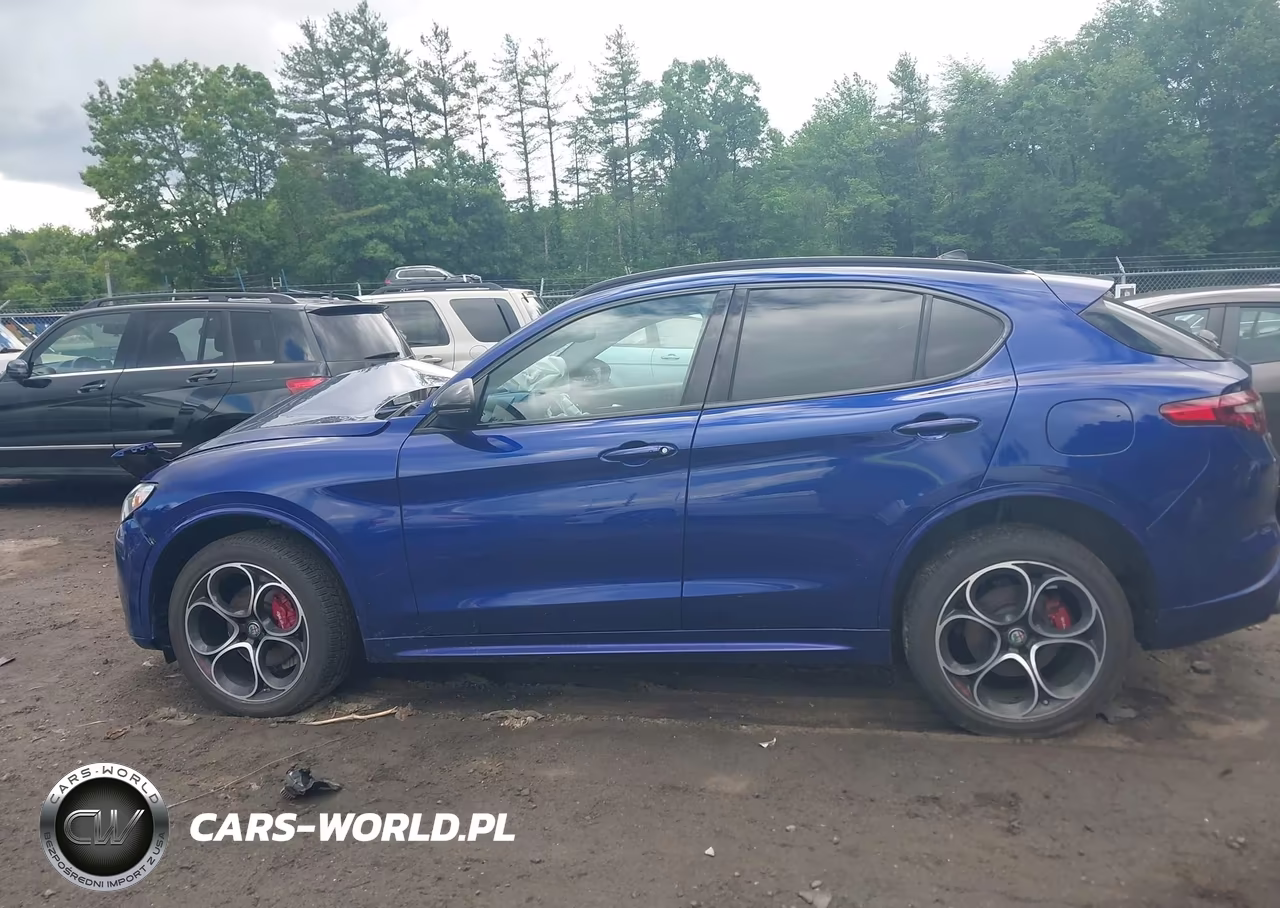 2021 Alfa Romeo Stelvio Ti Awd VIN:ZASPAKBNXM7D14517 - 15