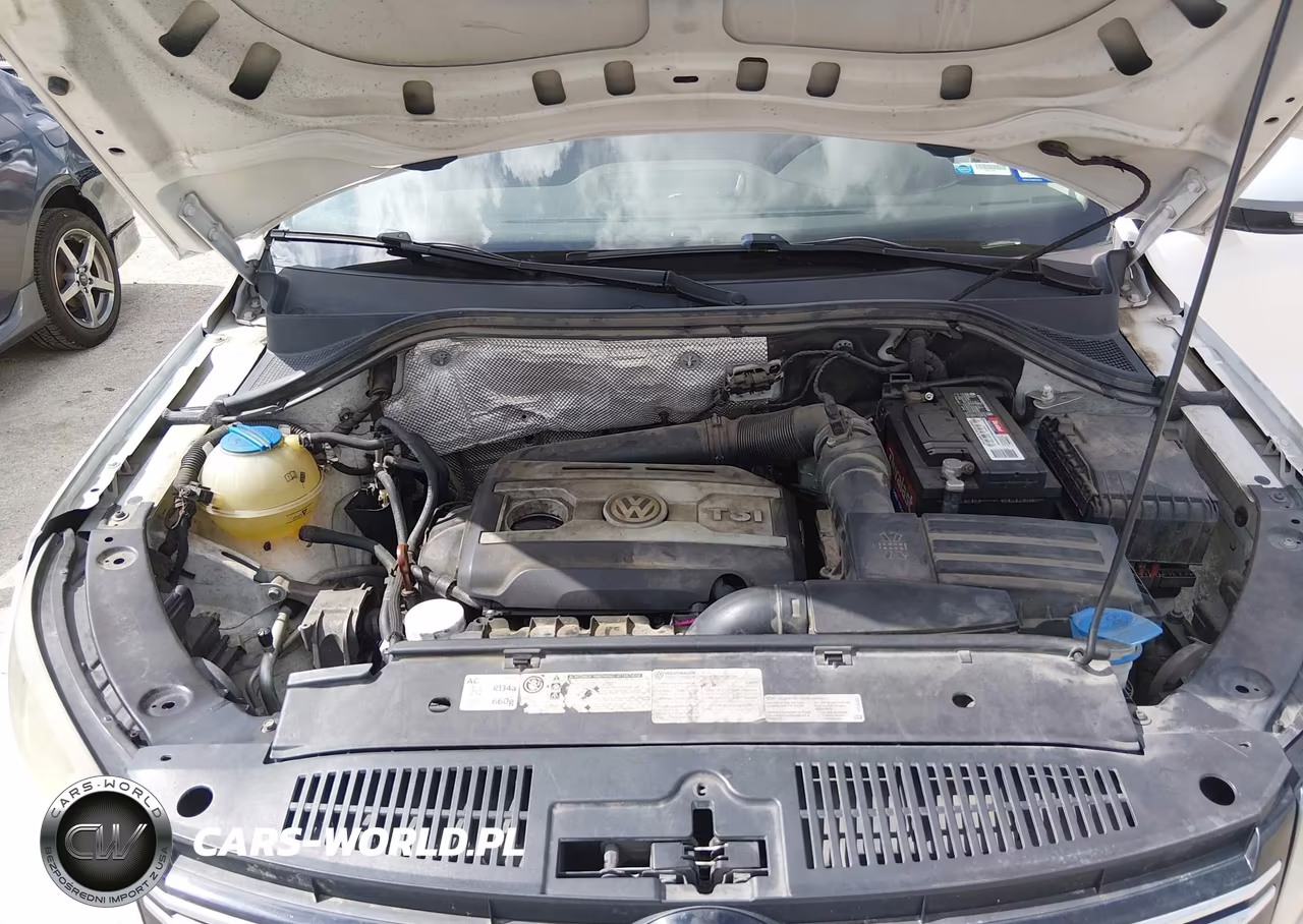 2012 Volkswagen Tiguan S VIN:WVGAV7AX0CW561211 - 10