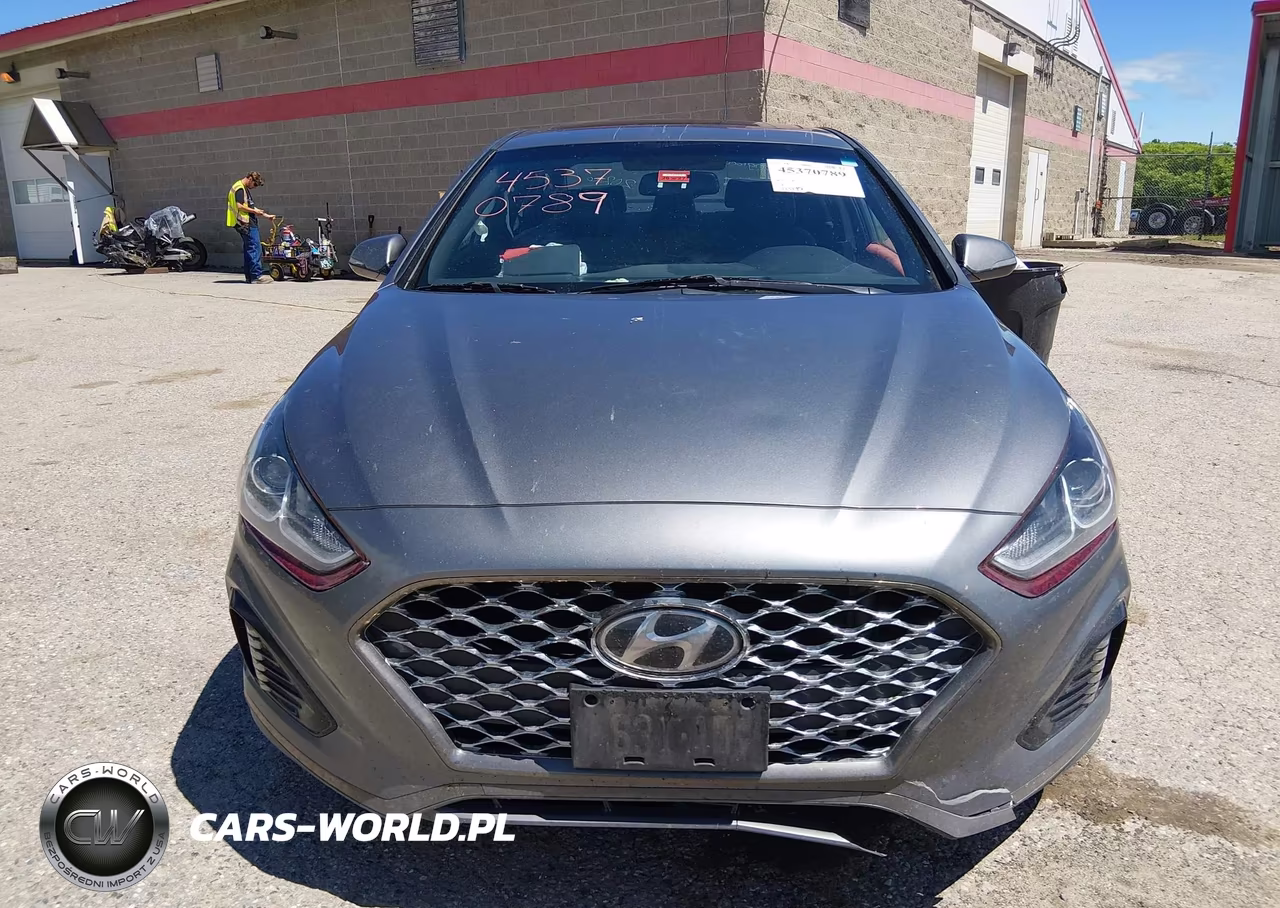 2019 Hyundai Sonata Sport VIN:5NPE34AF4KH818618 - 12