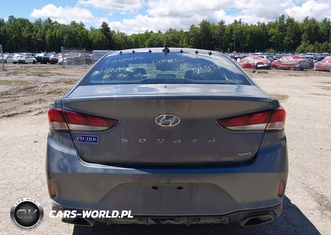 2019 Hyundai Sonata Sport VIN:5NPE34AF4KH818618 - 16