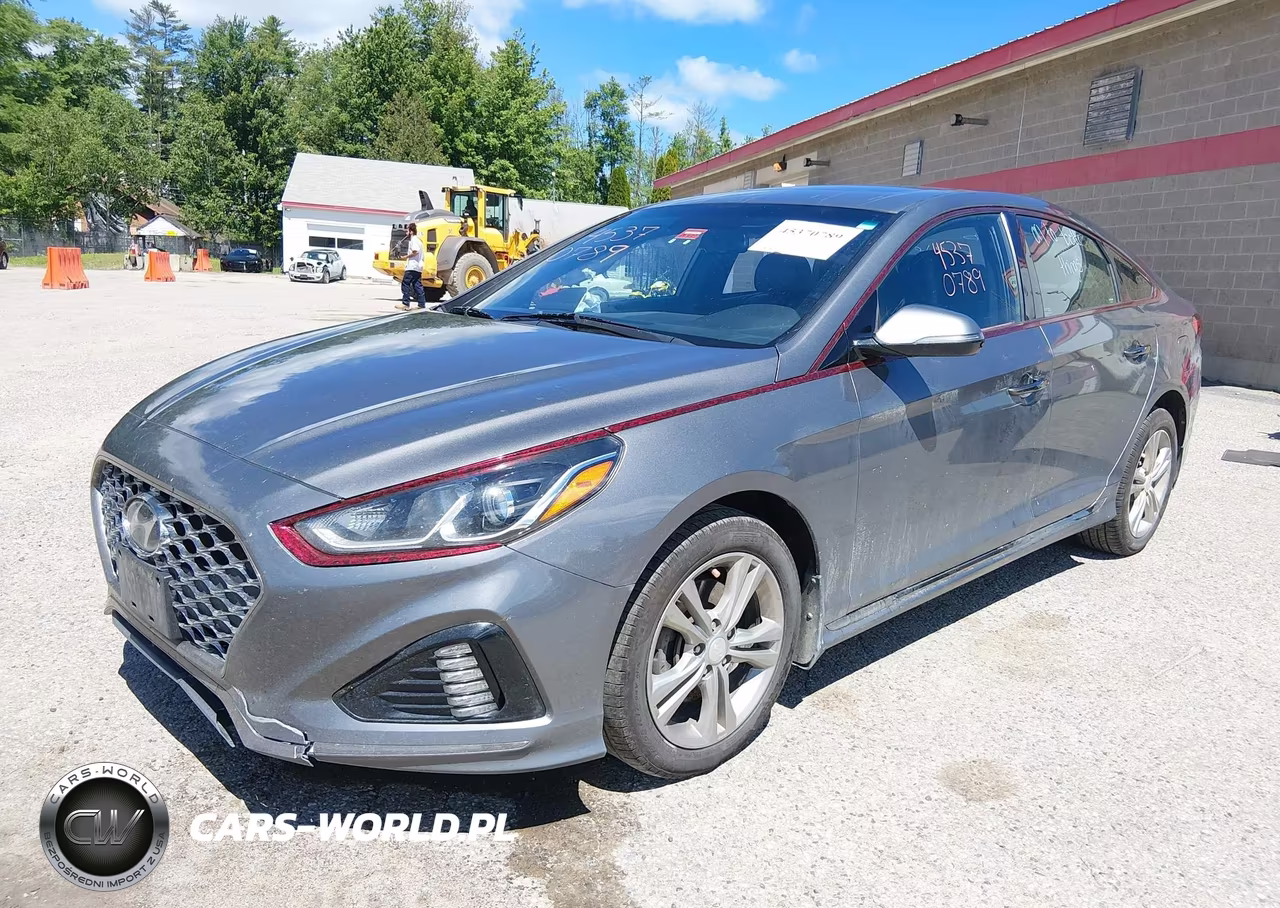 2019 Hyundai Sonata Sport VIN:5NPE34AF4KH818618 - 2