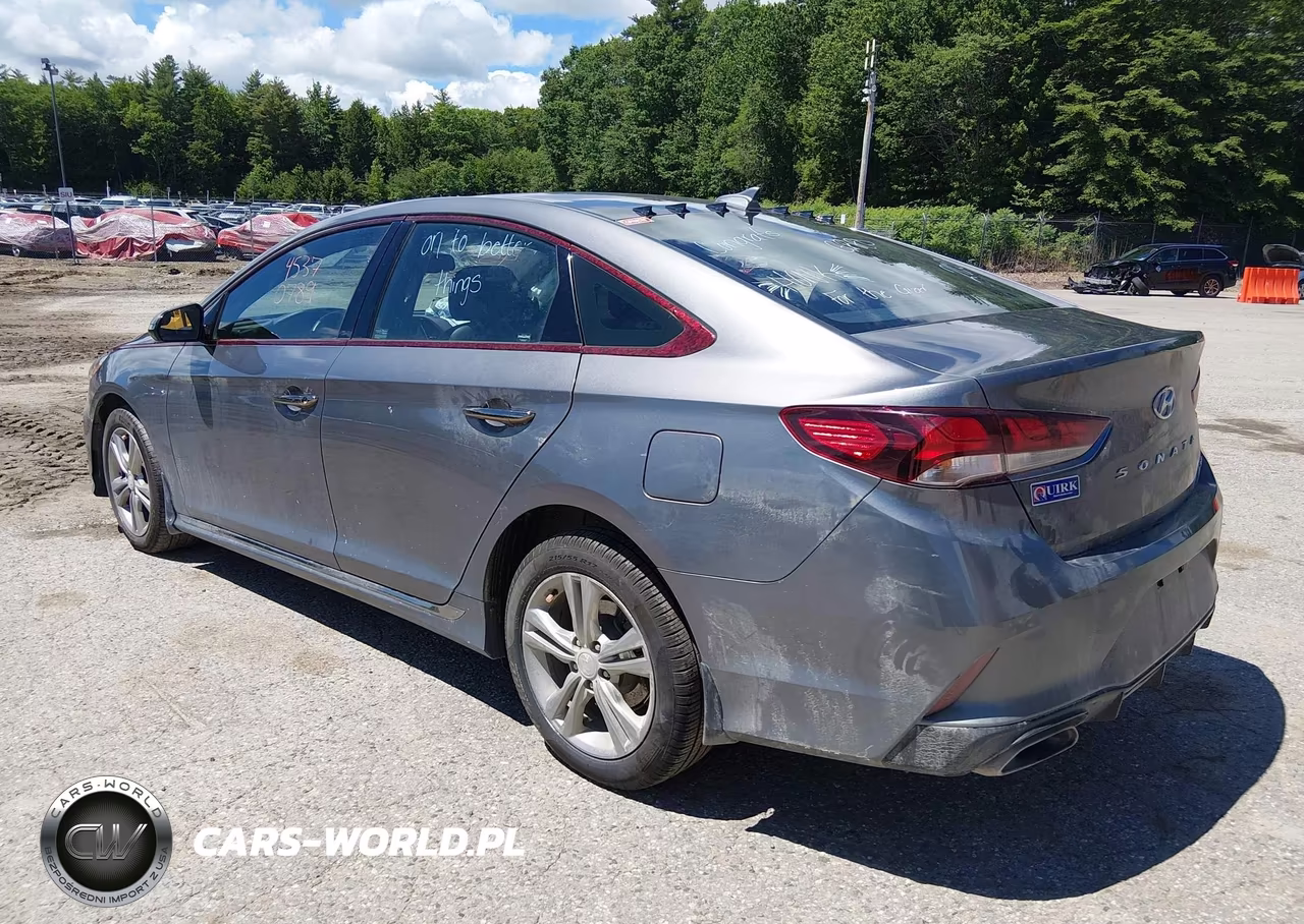 2019 Hyundai Sonata Sport VIN:5NPE34AF4KH818618 - 3