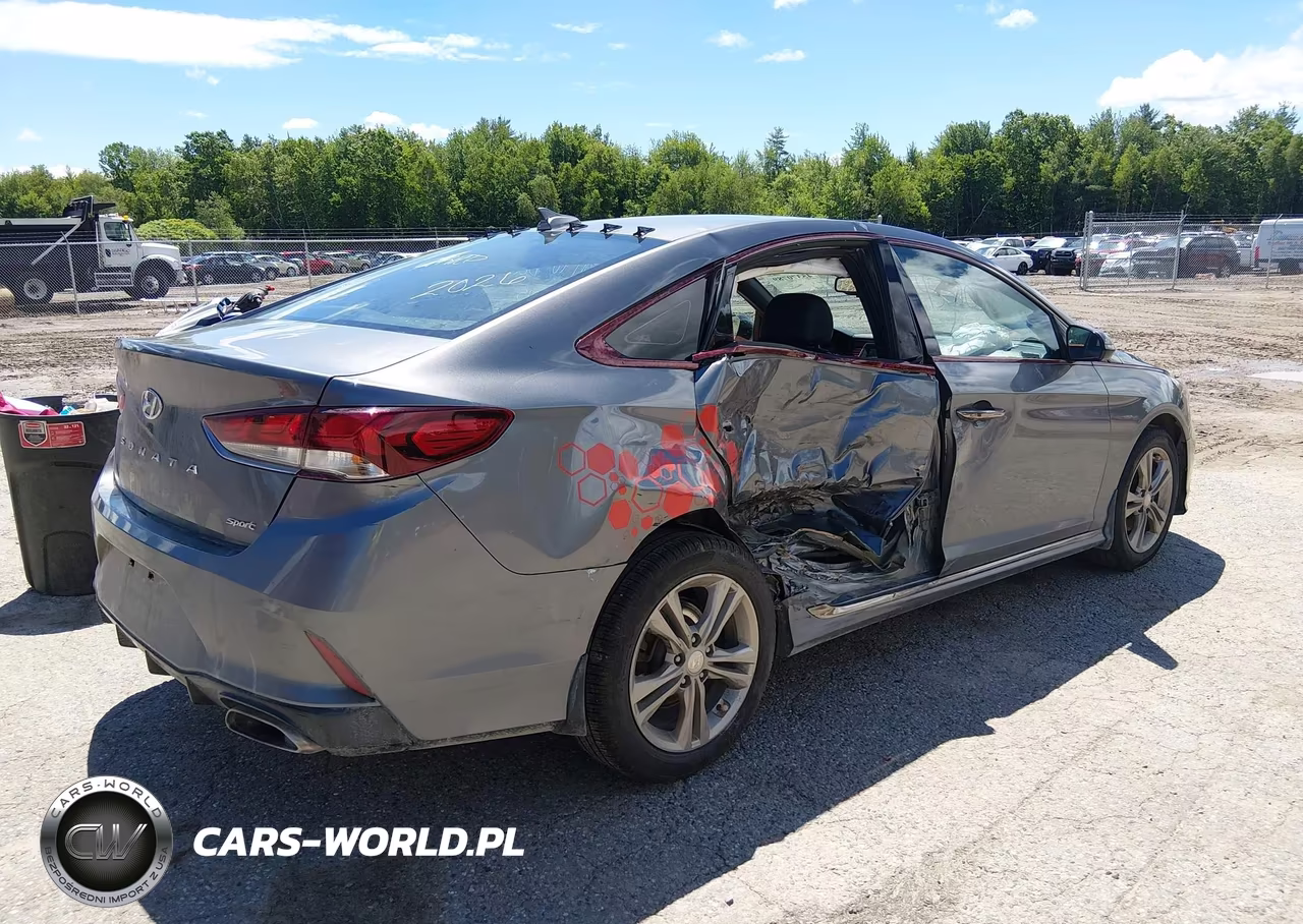 2019 Hyundai Sonata Sport VIN:5NPE34AF4KH818618 - 4