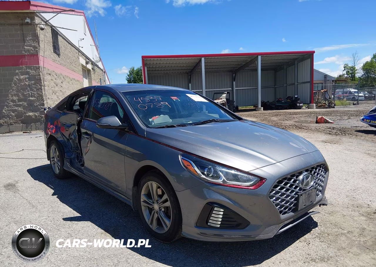 2019 Hyundai Sonata Sport VIN:5NPE34AF4KH818618 - 6