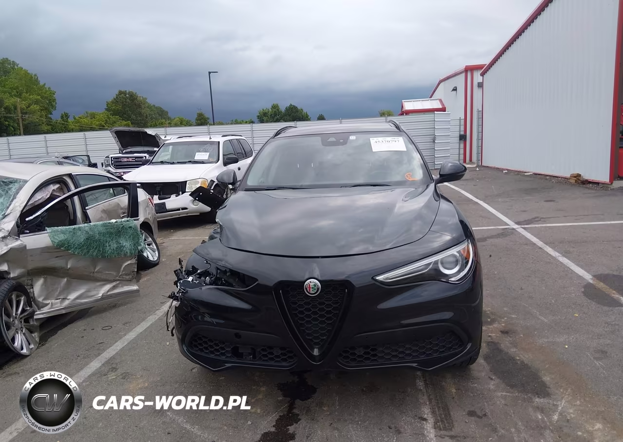2020 Alfa Romeo Stelvio Rwd VIN:ZASPAJAN4L7C83534 - 12