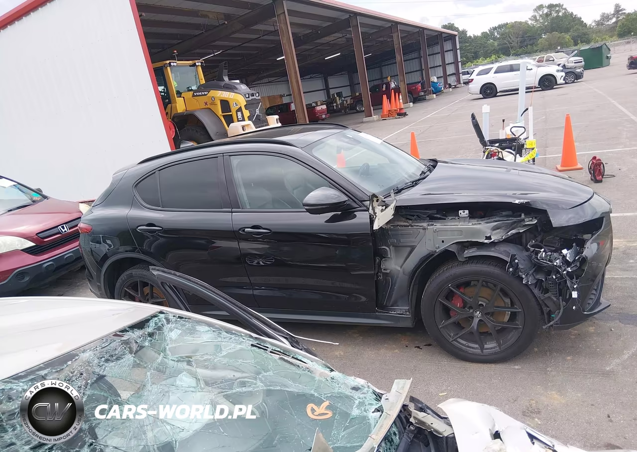 2020 Alfa Romeo Stelvio Rwd VIN:ZASPAJAN4L7C83534 - 13