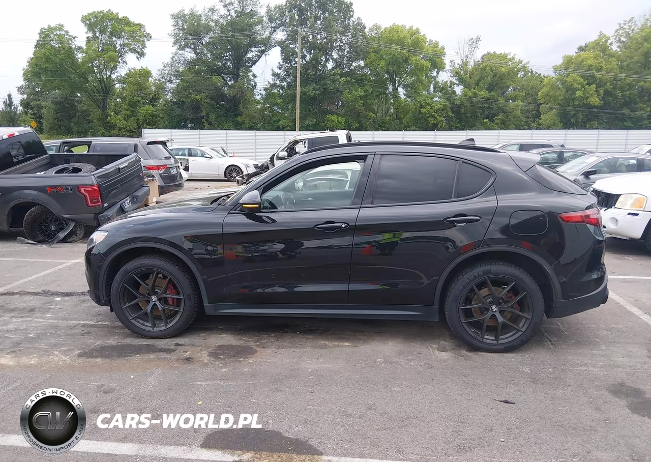 2020 Alfa Romeo Stelvio Rwd VIN:ZASPAJAN4L7C83534 - 14