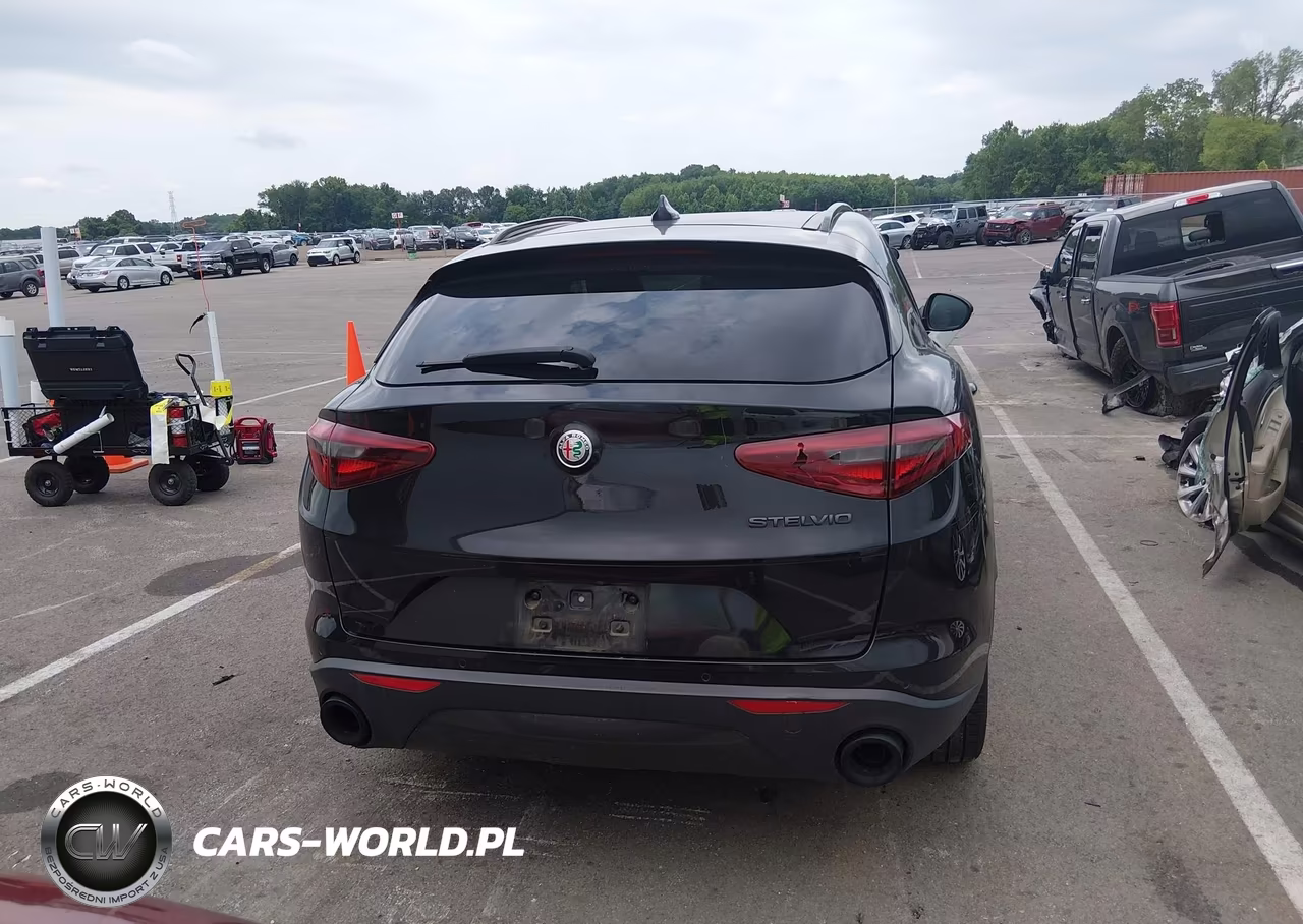 2020 Alfa Romeo Stelvio Rwd VIN:ZASPAJAN4L7C83534 - 16