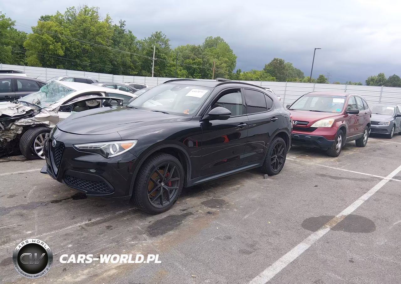 2020 Alfa Romeo Stelvio Rwd VIN:ZASPAJAN4L7C83534 - 2