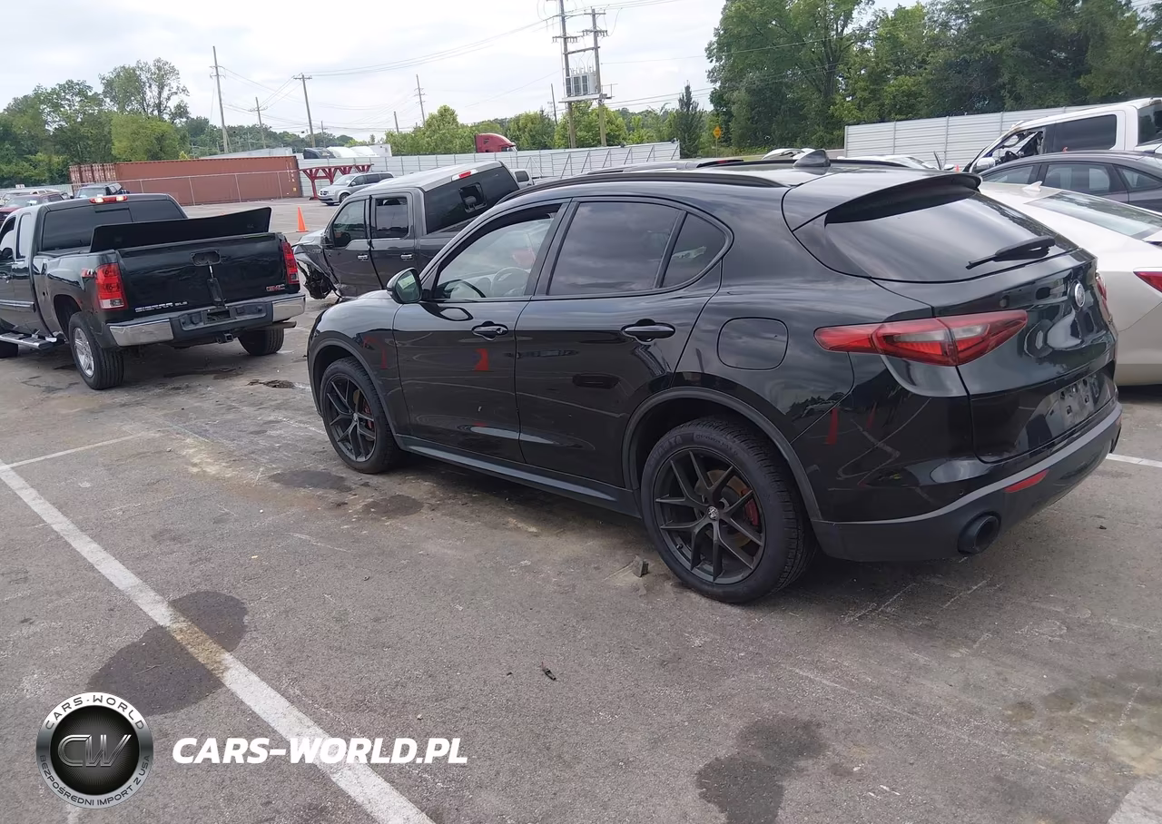 2020 Alfa Romeo Stelvio Rwd VIN:ZASPAJAN4L7C83534 - 3