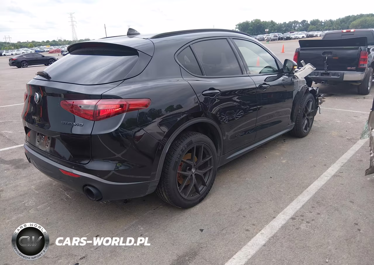 2020 Alfa Romeo Stelvio Rwd VIN:ZASPAJAN4L7C83534 - 4