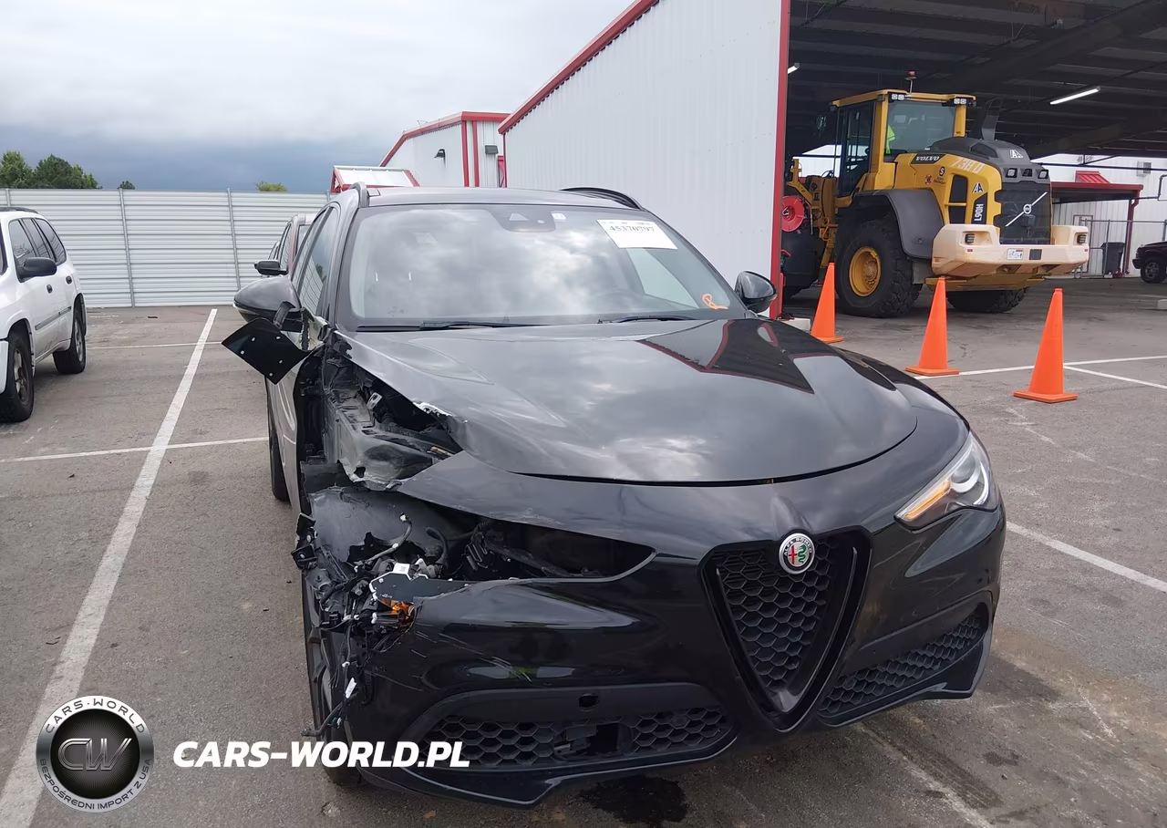 2020 Alfa Romeo Stelvio Rwd VIN:ZASPAJAN4L7C83534 - 6