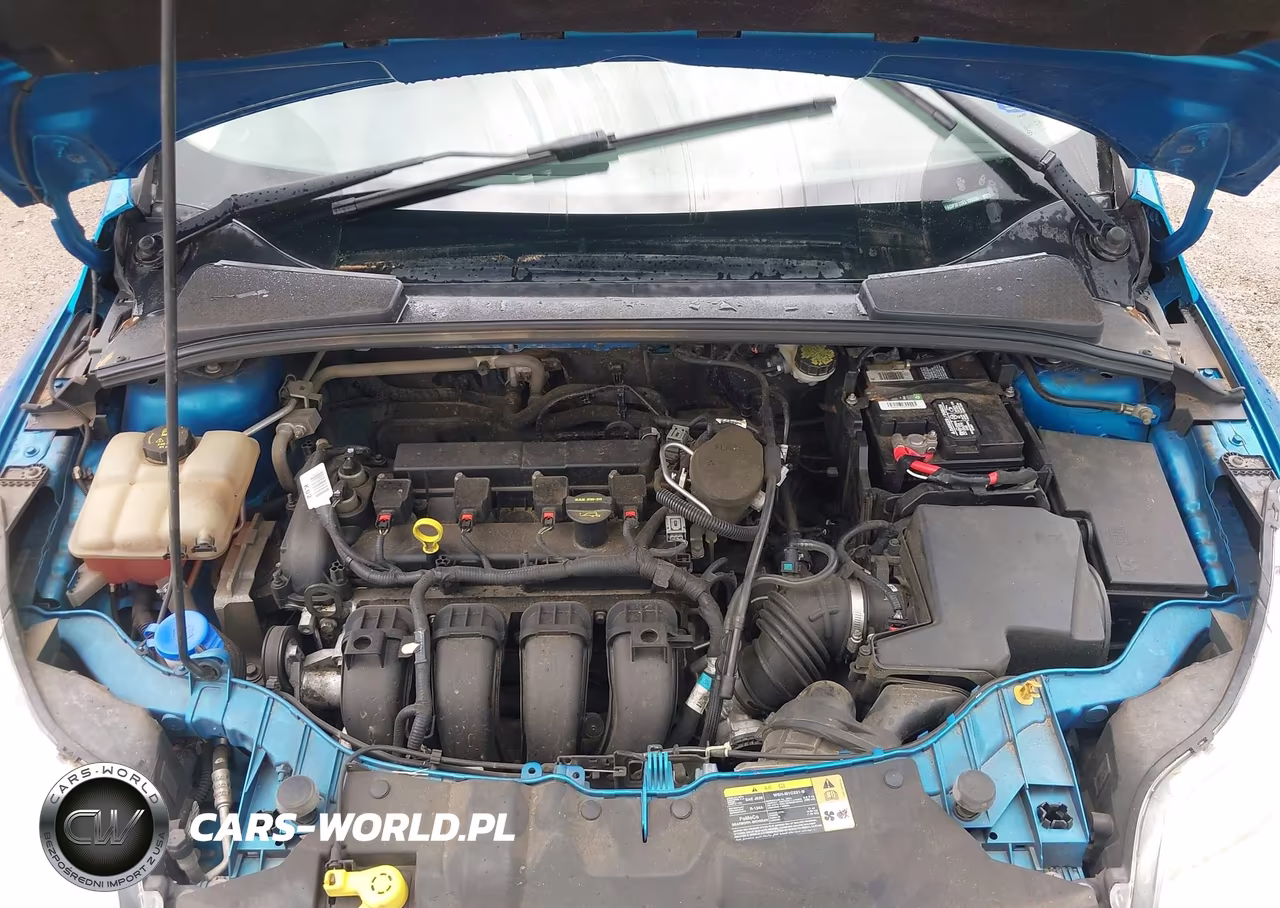 2014 Ford Focus Se VIN:1FADP3F23EL109555 - 10