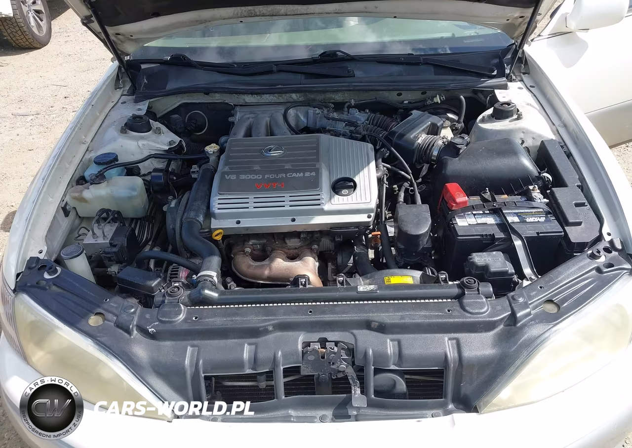 2001 Lexus Es 300 VIN:JT8BF28G815104176 - 10