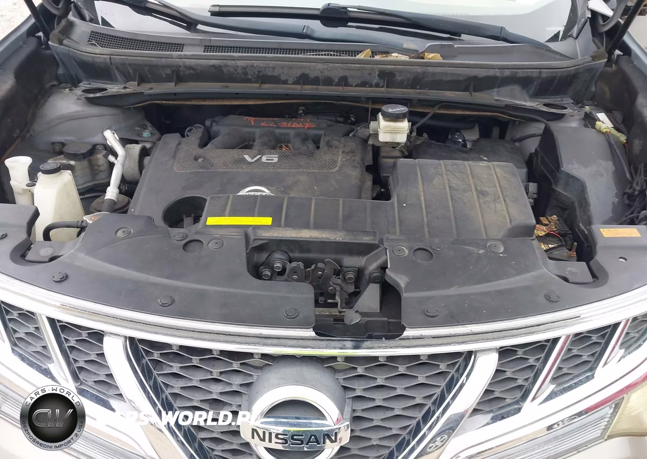 2011 Nissan Murano Le VIN:JN8AZ1MW3BW179458 - 10