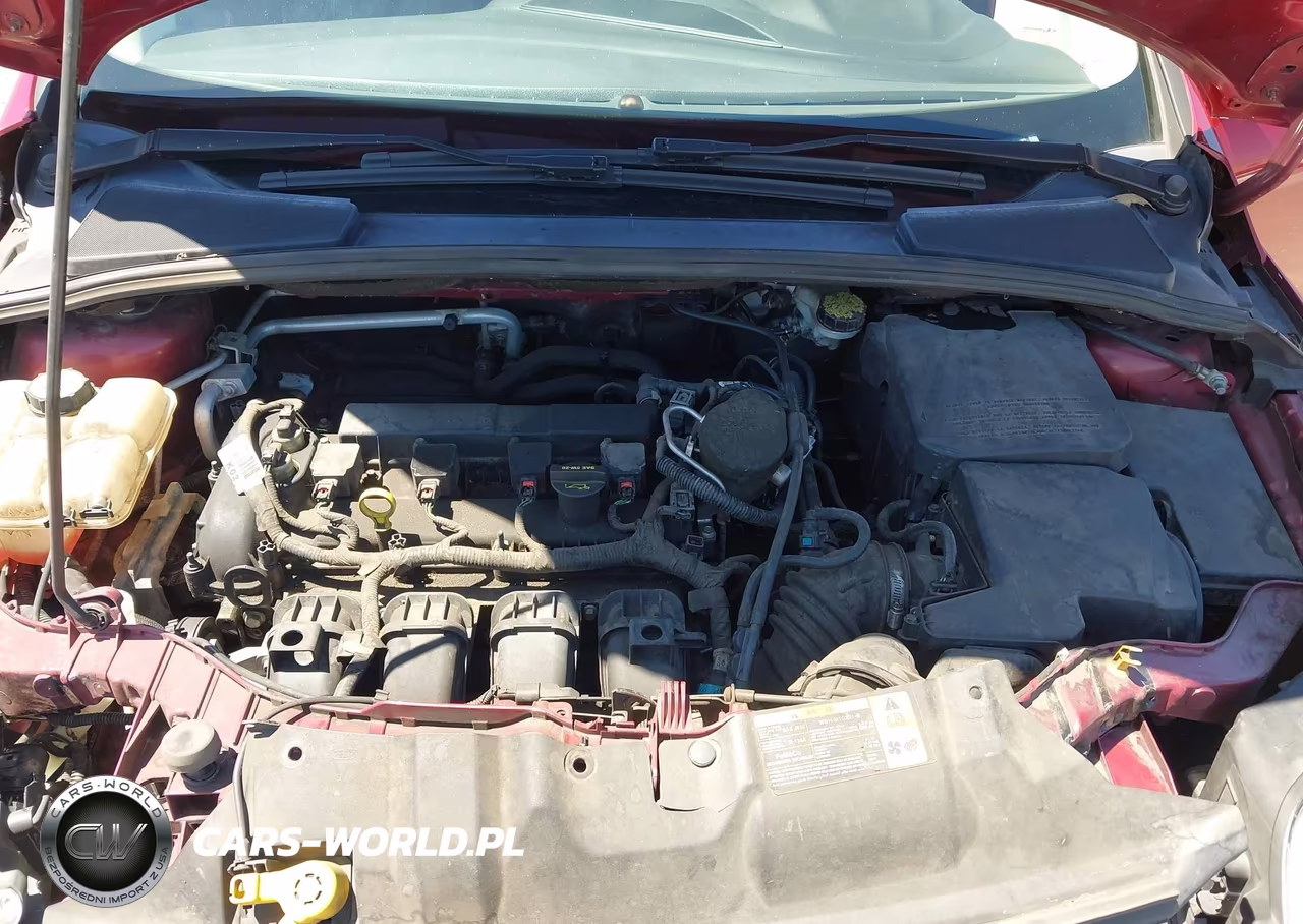 2013 Ford Focus Titanium VIN:1FADP3N2XDL178064 - 10