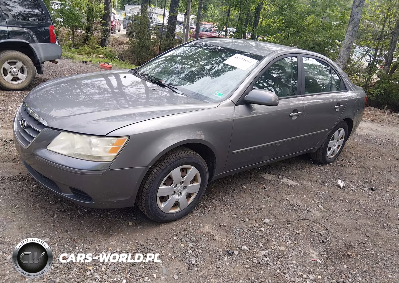 2010 Hyundai Sonata Gls VIN:5NPET4AC9AH585422 - 2
