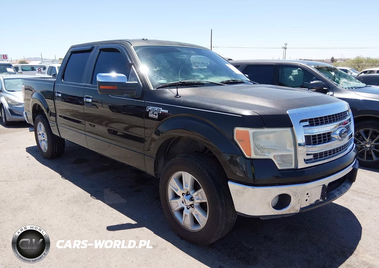 2013 Ford F-150 Xlt VIN:1FTFW1CF8DKE10389 - 13