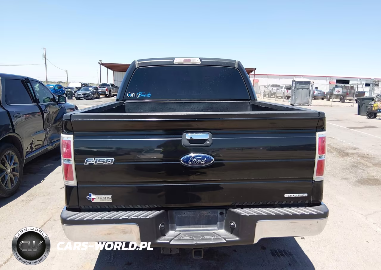 2013 Ford F-150 Xlt VIN:1FTFW1CF8DKE10389 - 16